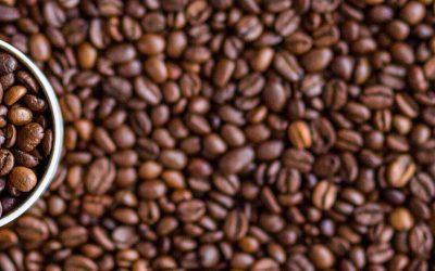 Presentazione e degustazione Cafè Los Andes