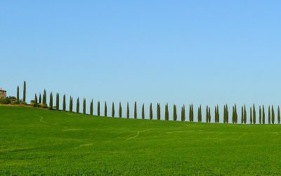 Toscana ovunque bella