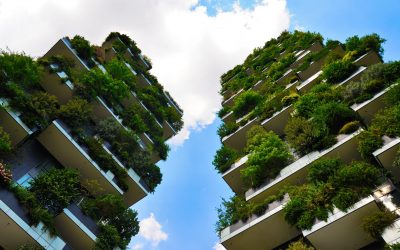 Foreste Urbane