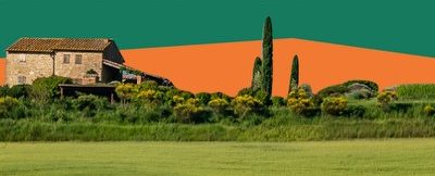 DEMETER il mondo come casa. L’esperienza agricola Demeter tra cultura e wwoofing