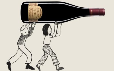 Degustazione Linea Marina Cvetic della Cantina Masciarelli